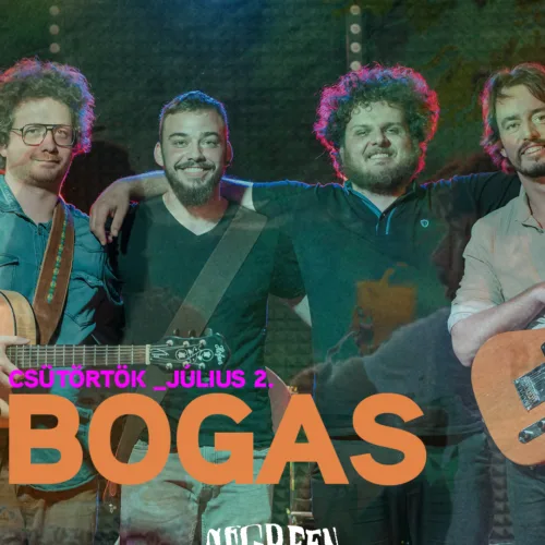 Bogas